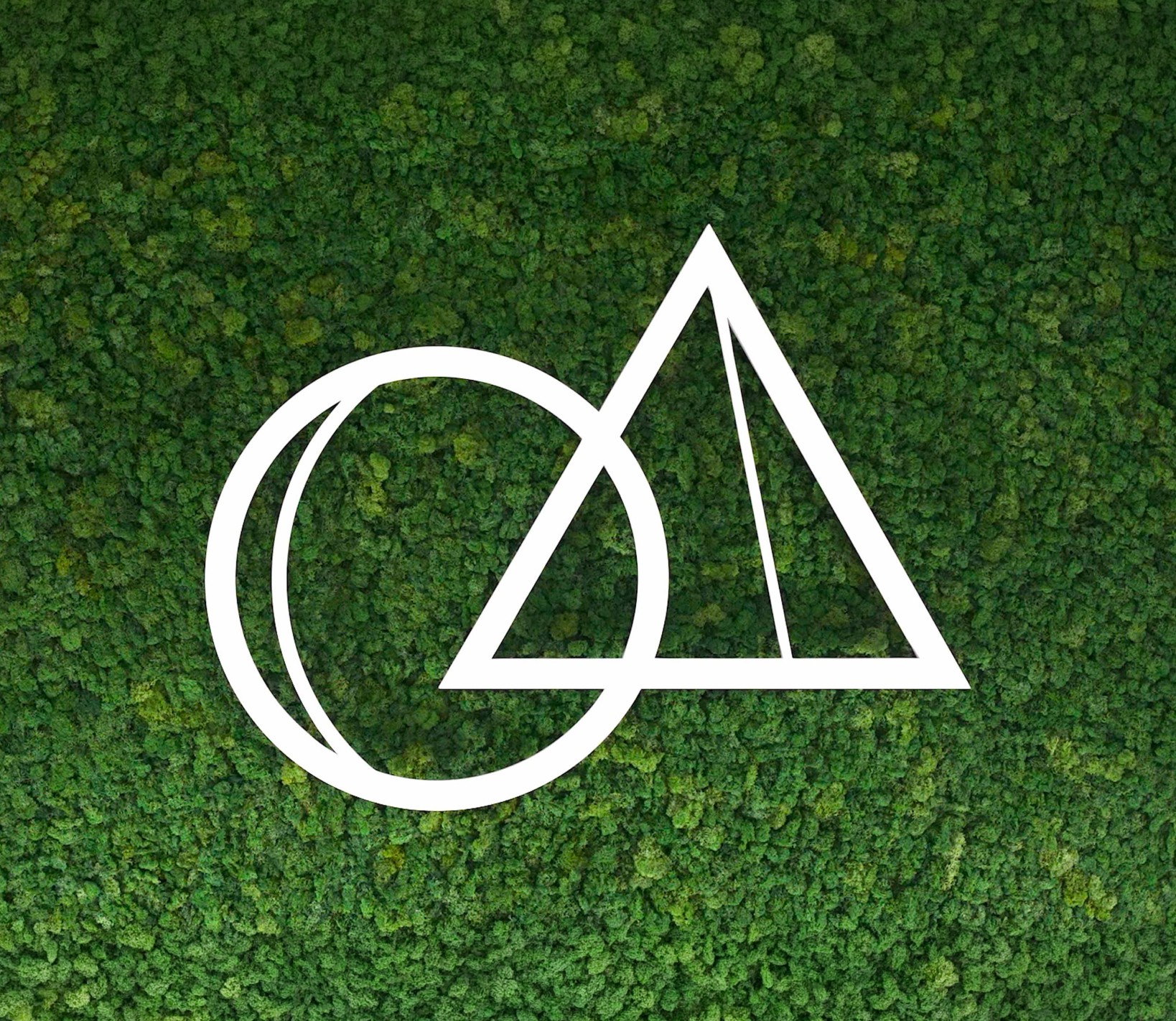 LOGO IID